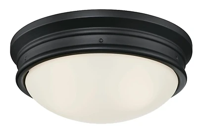 Westinghouse Meadowbrook 63241 2-Light Flush-Mount Ceiling Fixture, Matte Black, 13-In.