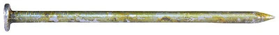 ProFIT Sinker Nail, 12D, 3-1/8 In, 10 Gauge, 5 Lb Box