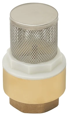 B&K 101-326NL Brass Foot Valve, 1-1/4 In., Spring-Loaded Poppet
