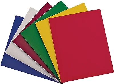 Top Flight 4660237 Portfolio Organizer, 11.5 x 9.375 In., Pack of 100, Assorted Colors