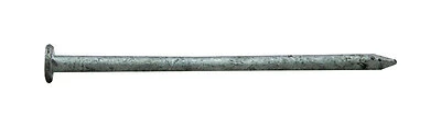 3-1/4 In. 12d Hot-dipped Galvanized Steel Nail 5 Lb Boxed (pack Of 4)