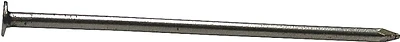 10d X 3 In. Bright Steel Common Nails, 1 Lb, Pack Of 12