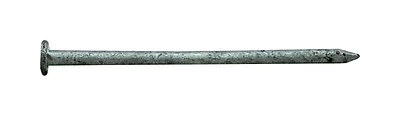 2 Inch 6d Hot-dipped Galvanized Steel Common Nails - 5 Pound Box