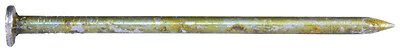 Pro-Fit 0065178 10D Vinyl-Coated Sinker Nail, 2-7/8 In, 1 Lb
