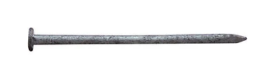 16d Common Hot-dipped Galvanized Steel Nails, 3-1/2 In, 5 Lb Box