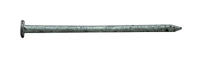 4" 20d Hot-dipped Galvanized Steel Common Nails - 5 Lb Box