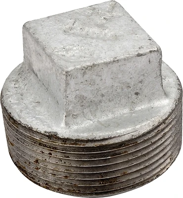 ProSource 31-1/8G Galvanized Malleable Plug, 1/8 In
