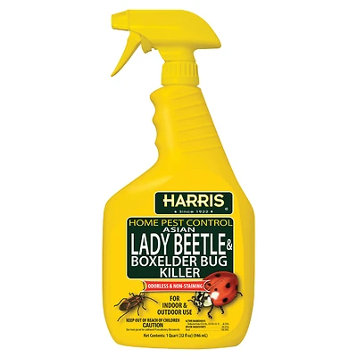 Harris HBXA-32 Asian Lady Beetle & Box Elder Bug Killer, 32 oz.