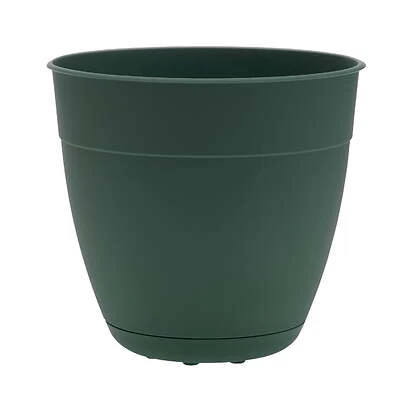 Ocean Series Dayton 5.75 In. H X 6 In. D Turtle Green Planter