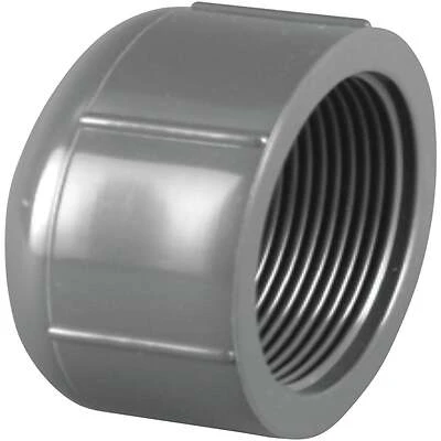 Charlotte Pipe 1/2-in dia PVC Sch 80 Cap
