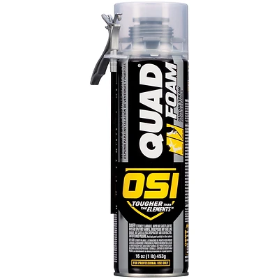 Quad Foam Window & Door Insulation, 16 oz.