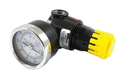 Forney 75546 Plastic Mini Regulator With Gauge, 1/4 In NPT, 300 PSI
