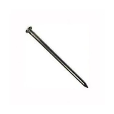 10d Hot Galvanized Common Nails, 3 Inch, 1 Pound