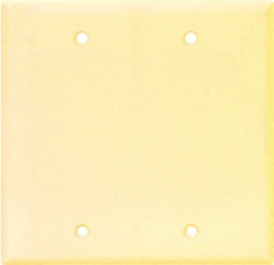 Eaton Cooper Wiring 2137V-BOX 2-Gang Ivory Blank Wall Plate