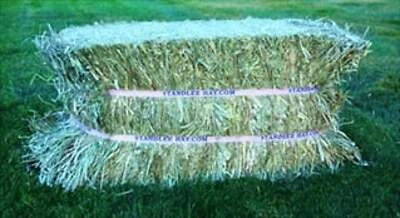 Premium Western Forage Timothy Compressed Bale 50 Lbs - Model 1200-20025-0-0