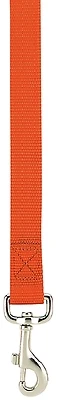Casual Canine Zm2392 64 69 6 Ft Nylon Dog Lead, 5/8 In Width, Orange