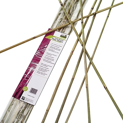 Gardener's Blue Ribbon BB6N Heavy-Duty Plant Stake, 6 ft L, 6 to 8 mm Dia, 0.3 in W, Bamboo, Natural