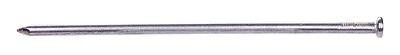 10 In. L Spike Steel Nail Flat Head Smooth Shank 50 Lb. 0053272