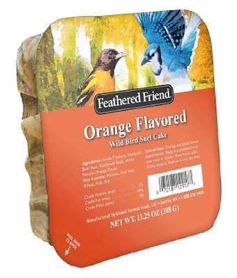 Orange Flavored Suet Wild Bird Food, 11.25 Oz - High-energy Treat