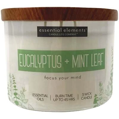 Essential Elements 3-Wick Jar Candle, Eucalyptus & Mint Leaf, 14.75-oz.