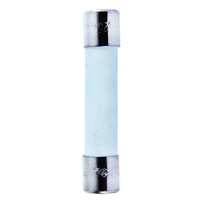 Mda 10 Amp 250 Volt Ceramic Time Delay Fuse 2 Pk, 1/4 X 1-1/4 In
