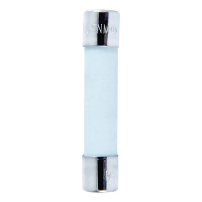 Abc 25 Amp 125 Volt Fast Acting Ceramic Fuse 2 Pk, 1/4 X 1-1/4 In