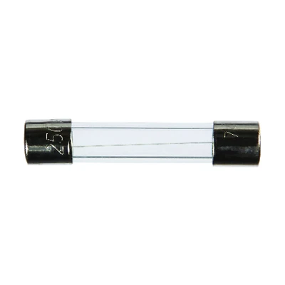 Agc 2 Amp Fast Acting Glass Fuse 4 Pk, 250 Volt, 1/4 X 1-1/4 In.