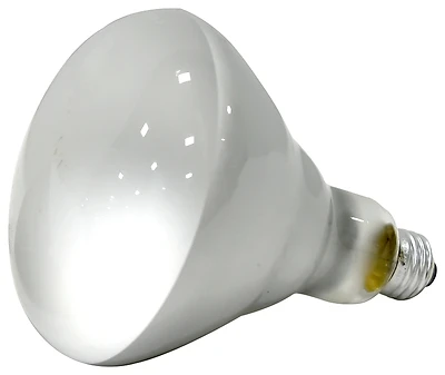 Sylvania 15451 BR40 Incandescent Heat Lamp, 125-Watt, 6.5 In