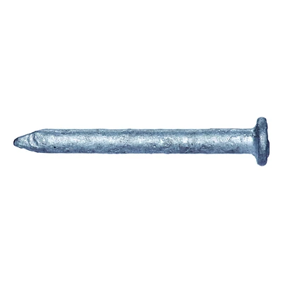 1-1/4 In. Joist Hanger Hot-dipped Galvanized Steel Nails - 50 Lb