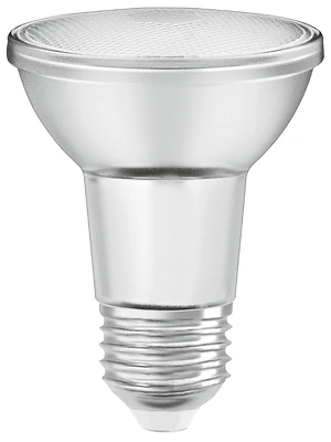 6w Par20 Dimmable Flood Led Light Bulb - Bright White