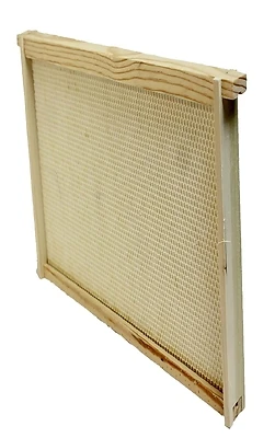 Harvest Lane Honey WWFFD-101 Deep Beehive Frame, Wood, Beeswax Foundation