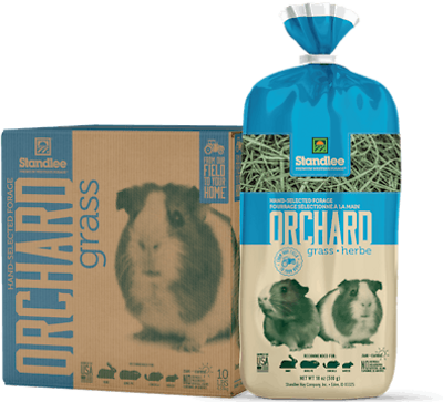 Small Animal Orchard Grass, 48 oz.