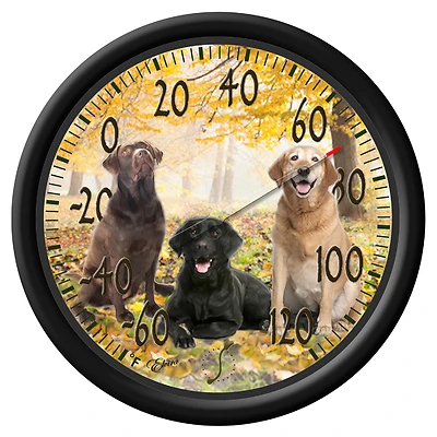 Taylor 6703N Labrador Dial Thermometer, 13-1/4 In, -60 To 120 Deg F