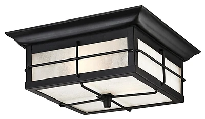 Orwell 2-light Textured Black Outdoor Flushmount Light Fixture Hardwired