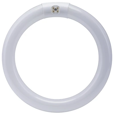 Feit Electric FC30/CW T9 Circline Fluorescent Bulb, 30W, 4100K Cool White