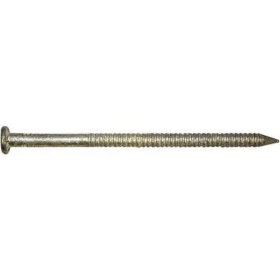 Stormguard Double Hot Dipped Hardened Pole Barn Nail 16d 50lb