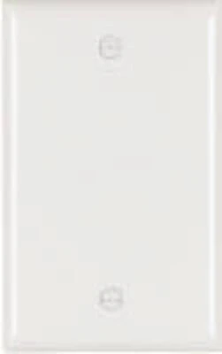 Pass & Seymour 1-Gang Blank Wall Plate, Nylon, White