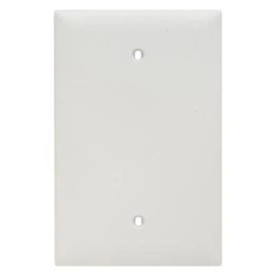 Pass & Seymour Wall Plate, Nylon, Jumbo