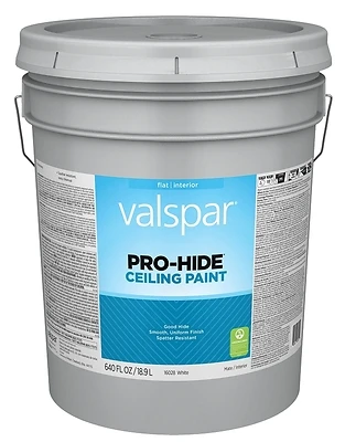 Pro Hide Ceiling Paint, White, 5 Gallon - Professional Quality, Low Spatter