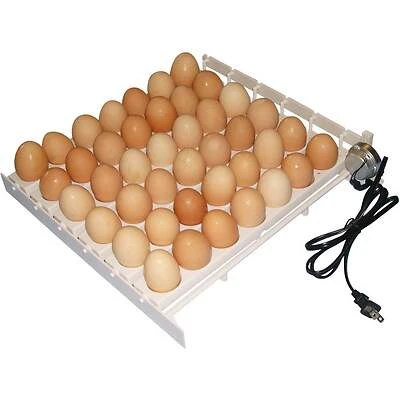 Farm Innovators 3200 Automatic Egg Turner, 41-Egg Capacity