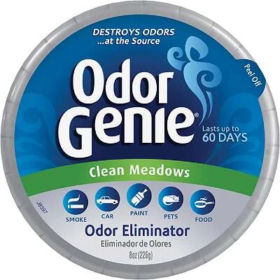 Damprid Odor Genie 8 Oz. Clean Meadows Solid Air Freshener - Odor Eliminator