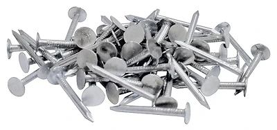 2-1/2 In. L Electro-galvanized Steel Roofing Nails 50 Lb. Bulk