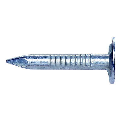 2 Inch Long Electro-galvanized Steel Roofing Nails, 50 Pound Bulk