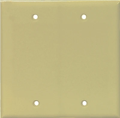 Pj23v 2 Gang Blank Wall Plate - Mid Size, Ivory Color