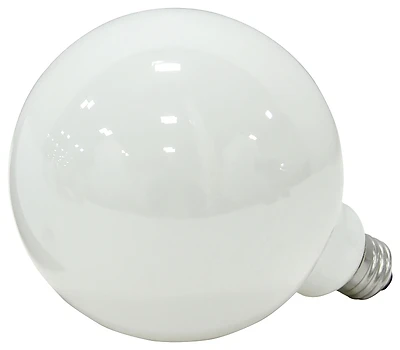 60-watt G40 Incandescent Light Bulb - Soft White Globe Design