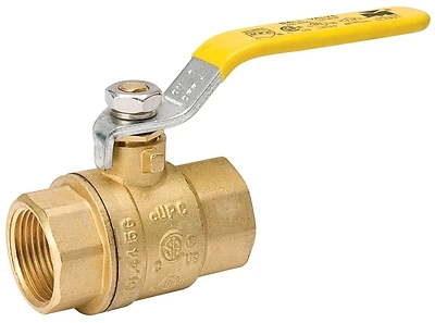 ProLine Ball Valve, Brass, 1 In. FIP x FIP, 600 psi
