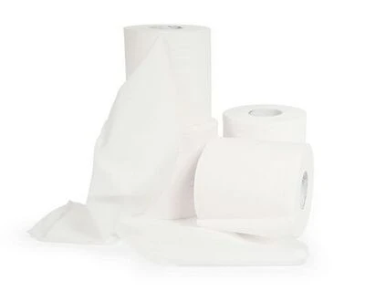 40270 Rv Tst 2-ply Toilet Tissue, 4 Rolls, 500 Sheets, White