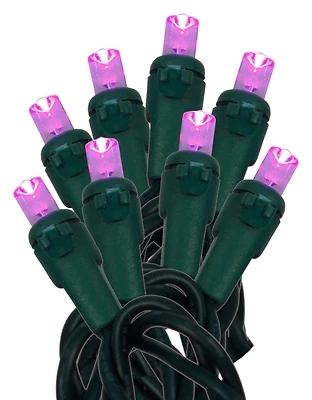 U15e302h Led Light Set, 70 Purple Lamps, 18.58 Ft, 120 V