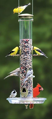 Cole's TT06 Terrific Tube Wild Bird Feeder, Polycarbonate, 1.75 Quart