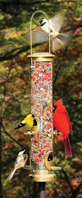 Cole's TT04 Terrific Tube Wild Bird Feeder, 1.25 Qt, 4 Ports